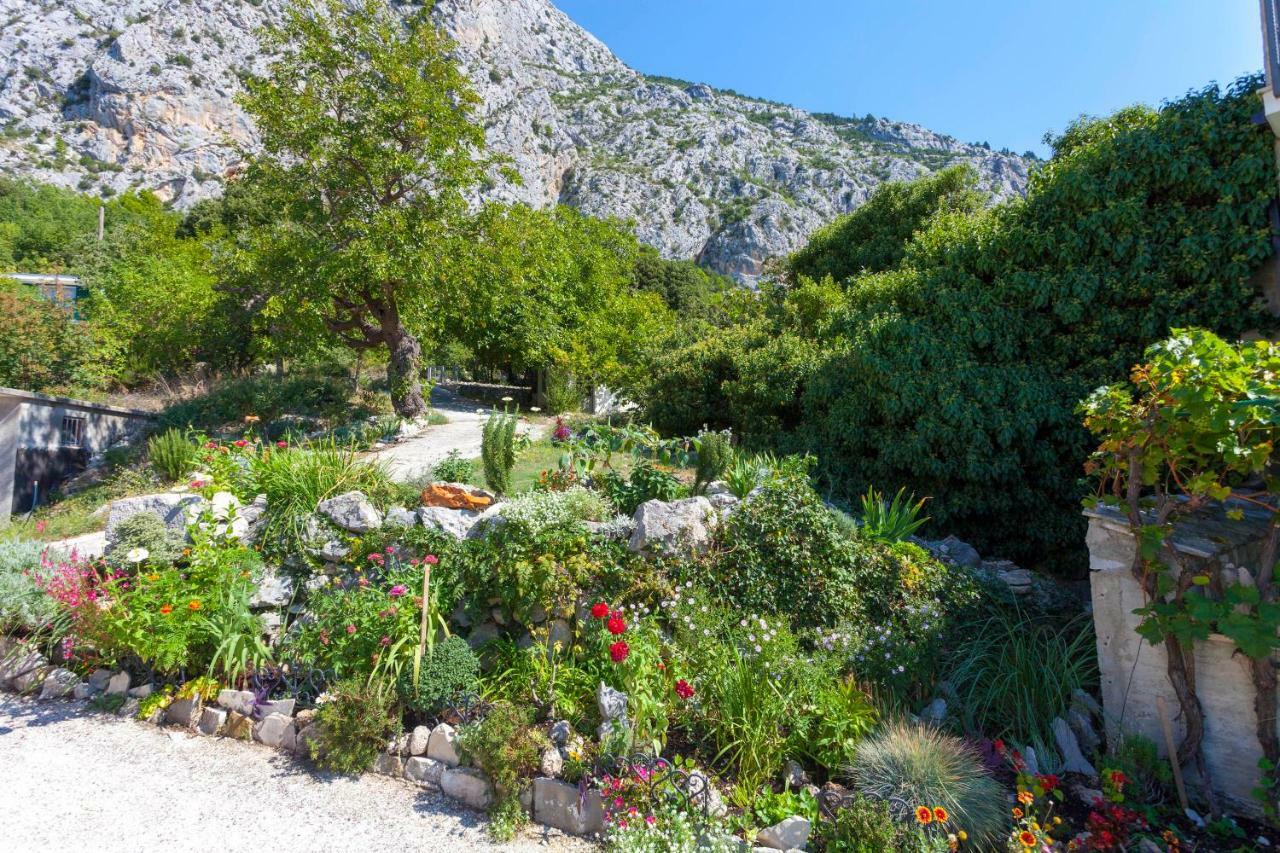 Holiday Home Lavanda Grubisic Tučepi Esterno foto